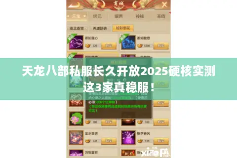 天龙八部私服长久开放2025硬核实测这3家真稳服! 天龙八部私服长久开放2025硬核实测这3家真稳服!