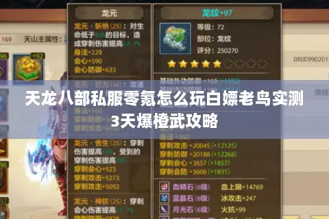天龙八部私服零氪怎么玩白嫖老鸟实测3天爆橙武攻略