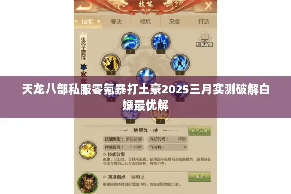 天龙八部私服零氪暴打土豪2025三月实测破解白嫖最优解 天龙八部私服零氪暴打土豪2025三月实测破解白嫖最优解