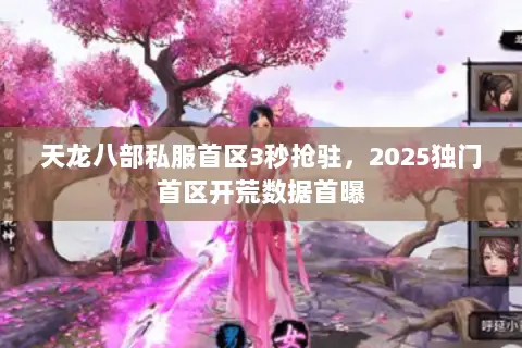 天龙八部私服首区3秒抢驻，2025独门首区开荒数据首曝
