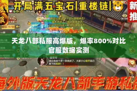 天龙八部私服高爆版,爆率800%对比官服数据实测 天龙八部私服高爆版,爆率800%对比官服数据实测