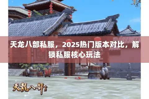 天龙八部私服,2025热门版本对比,解锁私服核心玩法 天龙八部私服,2025热门版本对比,解锁私服核心玩法