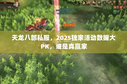 天龙八部私服,2025独家活动数据大PK,谁是真赢家 天龙八部私服,2025独家活动数据大PK,谁是真赢家
