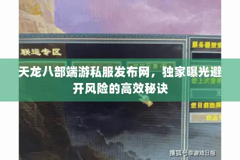 天龙八部端游私服发布网，独家曝光避开风险的高效秘诀