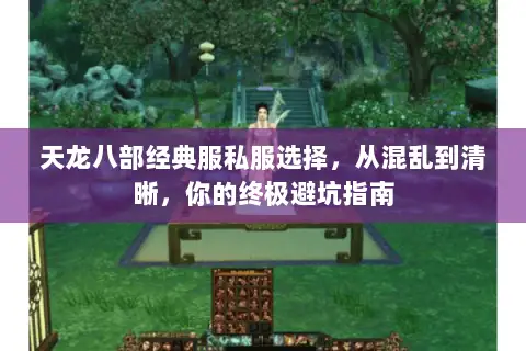 天龙八部经典服私服选择，从混乱到清晰，你的终极避坑指南