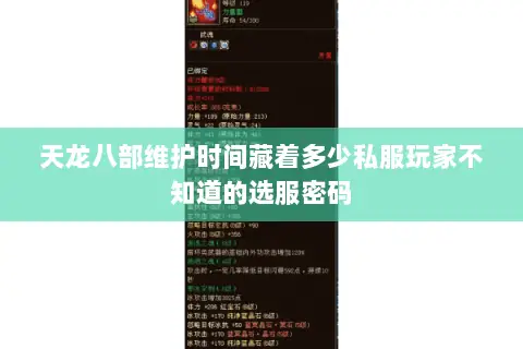 天龙八部维护时间藏着多少私服玩家不知道的选服密码 天龙八部维护时间藏着多少私服玩家不知道的选服密码