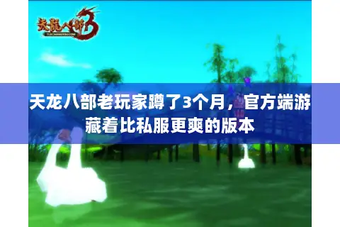 天龙八部老玩家蹲了3个月，官方端游藏着比私服更爽的版本