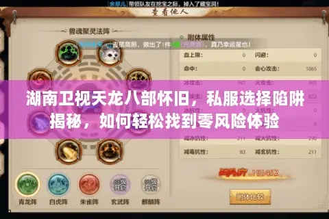 湖南卫视天龙八部怀旧,私服选择陷阱揭秘,如何轻松找到零风险体验 湖南卫视天龙八部怀旧,私服选择陷阱揭秘,如何轻松找到零风险体验