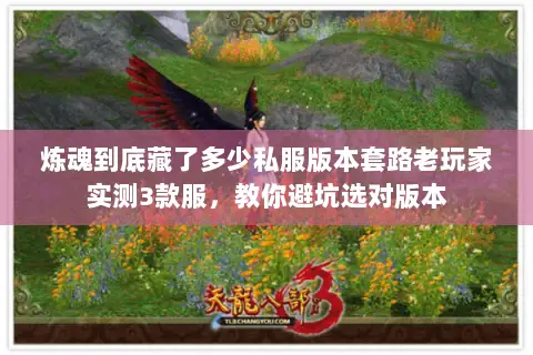 炼魂到底藏了多少私服版本套路老玩家实测3款服,教你避坑选对版本 炼魂到底藏了多少私服版本套路老玩家实测3款服,教你避坑选对版本
