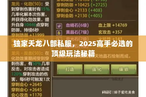 独家天龙八部私服,2025高手必选的顶级玩法秘籍 独家天龙八部私服,2025高手必选的顶级玩法秘籍