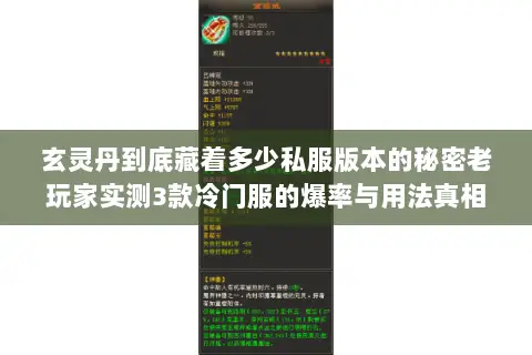 玄灵丹到底藏着多少私服版本的秘密老玩家实测3款冷门服的爆率与用法真相 玄灵丹到底藏着多少私服版本的秘密老玩家实测3款冷门服的爆率与用法真相