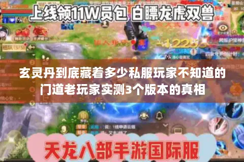 玄灵丹到底藏着多少私服玩家不知道的门道老玩家实测3个版本的真相 玄灵丹到底藏着多少私服玩家不知道的门道老玩家实测3个版本的真相