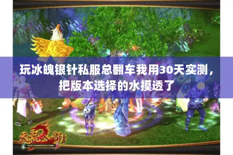 玩冰魄银针私服总翻车我用30天实测，把版本选择的水摸透了