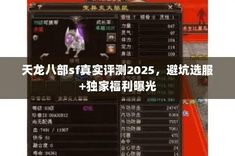天龙八部sf真实评测2025，避坑选服+独家福利曝光