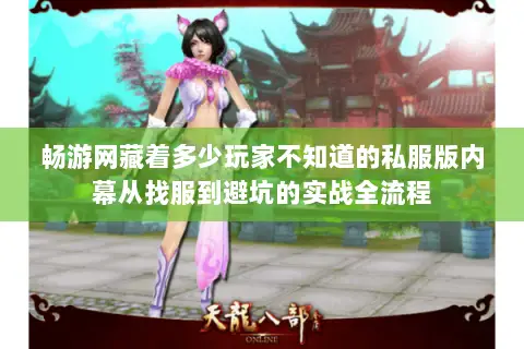 畅游网藏着多少玩家不知道的私服版内幕从找服到避坑的实战全流程 畅游网藏着多少玩家不知道的私服版内幕从找服到避坑的实战全流程