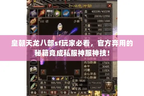 皇朝天龙八部sf玩家必看，官方弃用的秘籍竟成私服神服神技！