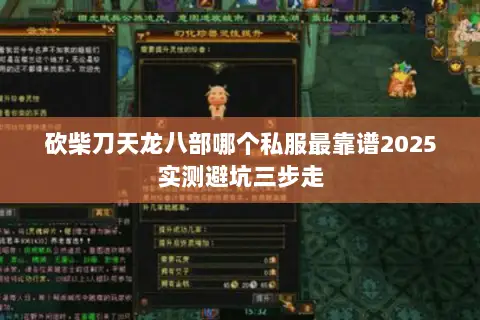 砍柴刀天龙八部哪个私服最靠谱2025实测避坑三步走 砍柴刀天龙八部哪个私服最靠谱2025实测避坑三步走