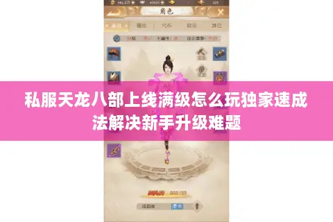 私服天龙八部上线满级怎么玩独家速成法解决新手升级难题