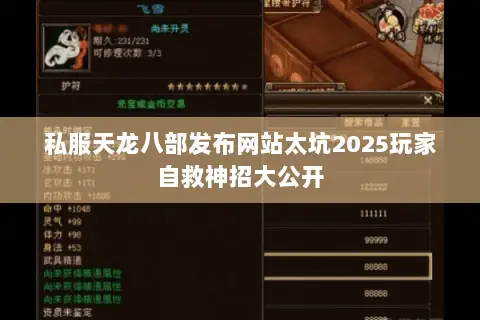 私服天龙八部发布网站太坑2025玩家自救神招大公开