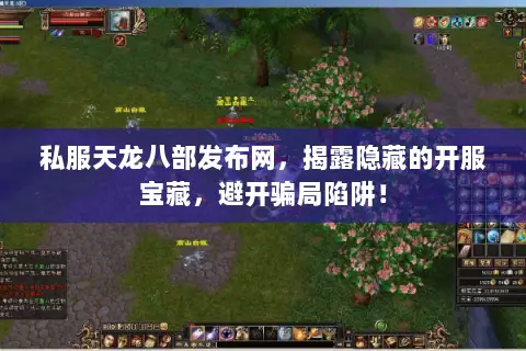 私服天龙八部发布网，揭露隐藏的开服宝藏，避开骗局陷阱！
