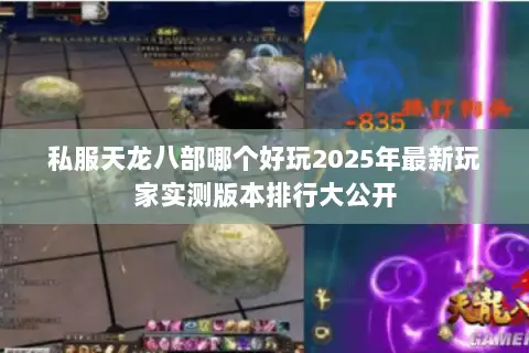 私服天龙八部哪个好玩2025年最新玩家实测版本排行大公开 私服天龙八部哪个好玩2025年最新玩家实测版本排行大公开