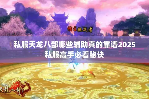 私服天龙八部哪些辅助真的靠谱2025私服高手必看秘诀
