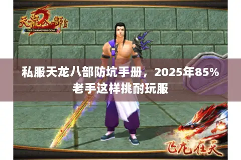 私服天龙八部防坑手册,2025年85%老手这样挑耐玩服 私服天龙八部防坑手册,2025年85%老手这样挑耐玩服