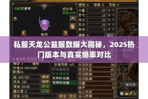 私服天龙公益服数据大揭秘,2025热门版本与真实爆率对比 私服天龙公益服数据大揭秘,2025热门版本与真实爆率对比