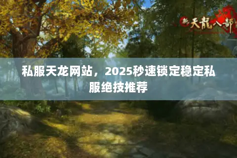私服天龙网站,2025秒速锁定稳定私服绝技推荐 私服天龙网站,2025秒速锁定稳定私服绝技推荐