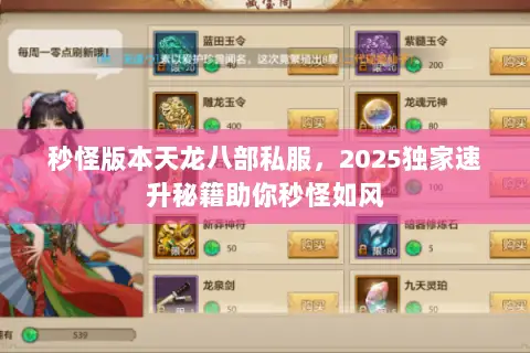 秒怪版本天龙八部私服，2025独家速升秘籍助你秒怪如风