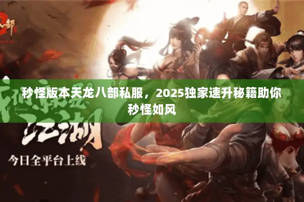 秒怪版本天龙八部私服，2025独家速升秘籍助你秒怪如风