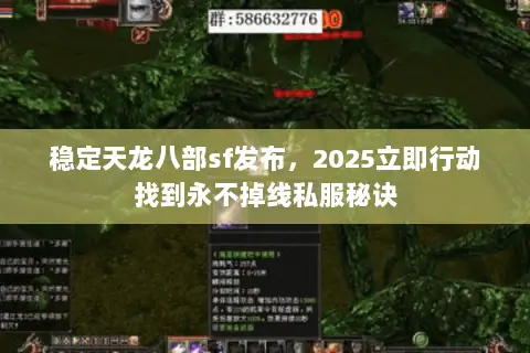 稳定天龙八部sf发布，2025立即行动找到永不掉线私服秘诀