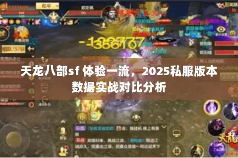 天龙八部sf 体验一流，2025私服版本数据实战对比分析