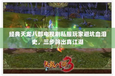 经典天龙八部电视剧私服玩家避坑血泪史,三步筛出真江湖 经典天龙八部电视剧私服玩家避坑血泪史,三步筛出真江湖