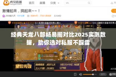 经典天龙八部畅易阁对比2025实测数据,助你选对私服不踩雷 经典天龙八部畅易阁对比2025实测数据,助你选对私服不踩雷