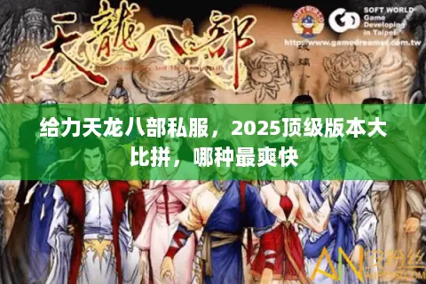 给力天龙八部私服，2025顶级版本大比拼，哪种最爽快
