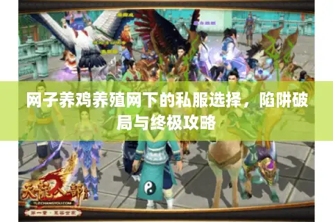 网子养鸡养殖网下的私服选择,陷阱破局与终极攻略 网子养鸡养殖网下的私服选择,陷阱破局与终极攻略
