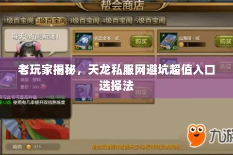 老玩家揭秘，天龙私服网避坑超值入口选择法