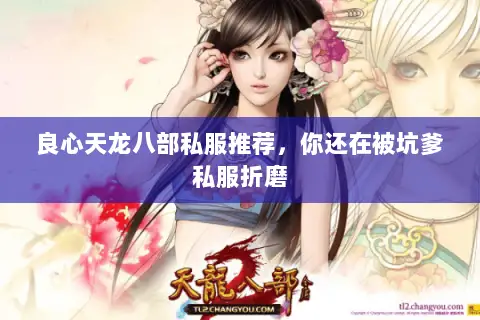 良心天龙八部私服推荐,你还在被坑爹私服折磨 良心天龙八部私服推荐,你还在被坑爹私服折磨