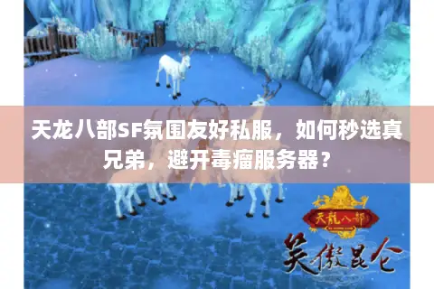天龙八部SF氛围友好私服,如何秒选真兄弟,避开毒瘤服务器? 天龙八部SF氛围友好私服,如何秒选真兄弟,避开毒瘤服务器?