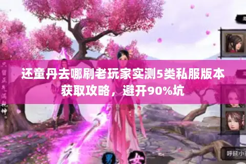 还童丹去哪刷老玩家实测5类私服版本获取攻略,避开90%坑 还童丹去哪刷老玩家实测5类私服版本获取攻略,避开90%坑