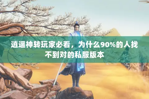 逍遥神转玩家必看,为什么90%的人找不到对的私服版本 逍遥神转玩家必看,为什么90%的人找不到对的私服版本