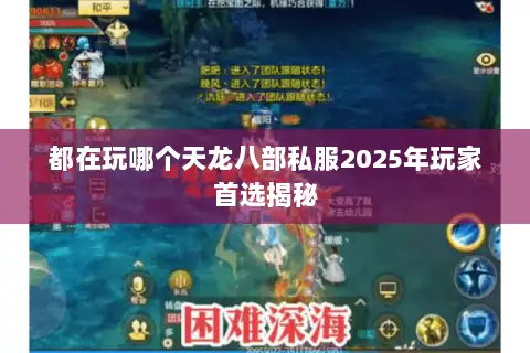 都在玩哪个天龙八部私服2025年玩家首选揭秘 都在玩哪个天龙八部私服2025年玩家首选揭秘