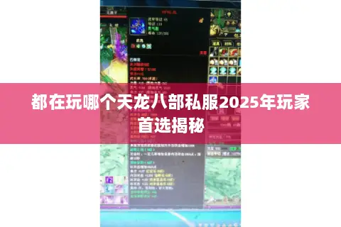 都在玩哪个天龙八部私服2025年玩家首选揭秘 都在玩哪个天龙八部私服2025年玩家首选揭秘