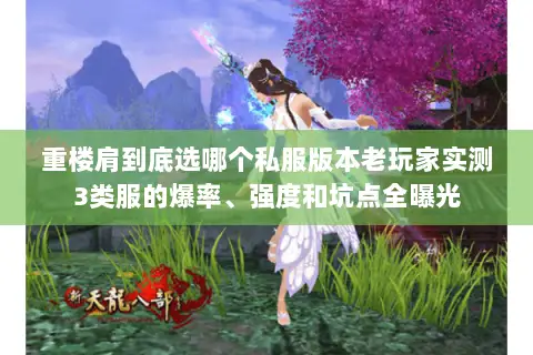 重楼肩到底选哪个私服版本老玩家实测3类服的爆率、强度和坑点全曝光
