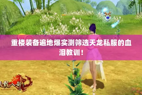 重楼装备遍地爆实测筛选天龙私服的血泪教训！