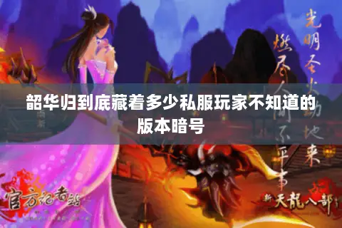 韶华归到底藏着多少私服玩家不知道的版本暗号