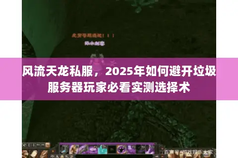 风流天龙私服，2025年如何避开垃圾服务器玩家必看实测选择术