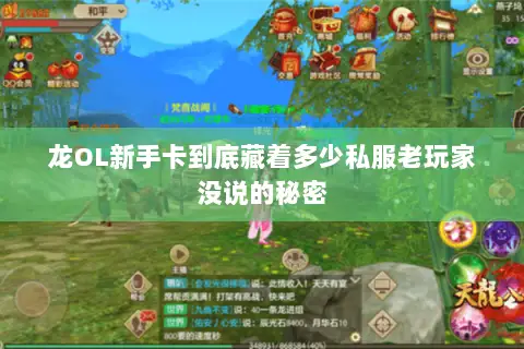 龙OL新手卡到底藏着多少私服老玩家没说的秘密 龙OL新手卡到底藏着多少私服老玩家没说的秘密