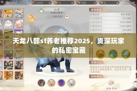 天龙八部sf养老推荐2025,资深玩家的私密宝藏 天龙八部sf养老推荐2025,资深玩家的私密宝藏